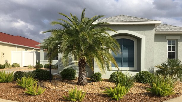A residential house with a landscaped garden featuring a palm tree and various shrubs. - 2 BED/2BATH PLUS DEN  COURTYARD VILLA (The Villages)
