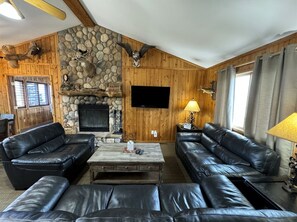 TV, fireplace