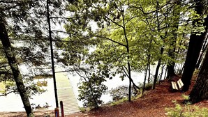 A forested area with a wooden bench and a stone pathway leading to a body of water. - Lakeside Cottage in the Pines with Huge Deck, 40-foot Dock, and Sunset Views (Hazelhurst)