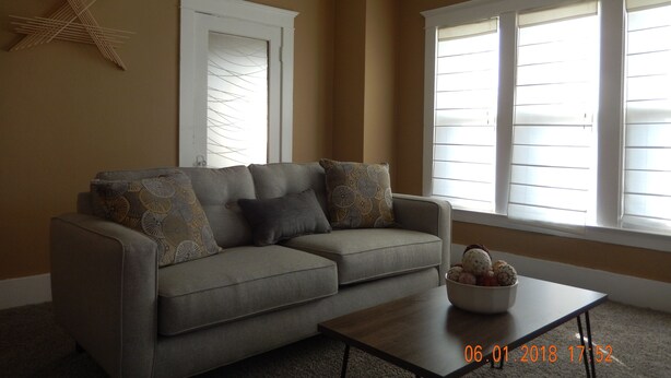 Smart TV, fireplace, DVD player, books - Alexandria's Motor City Condo Apartment (Detroit)