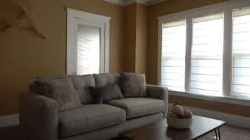 TV connectée, cheminée, lecteur de DVD, livres