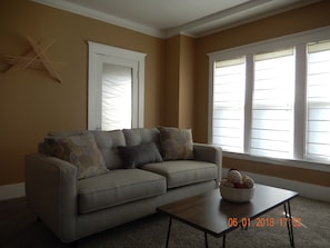 Smart TV, fireplace, DVD player, books