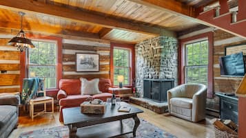 TV, fireplace, DVD player, books