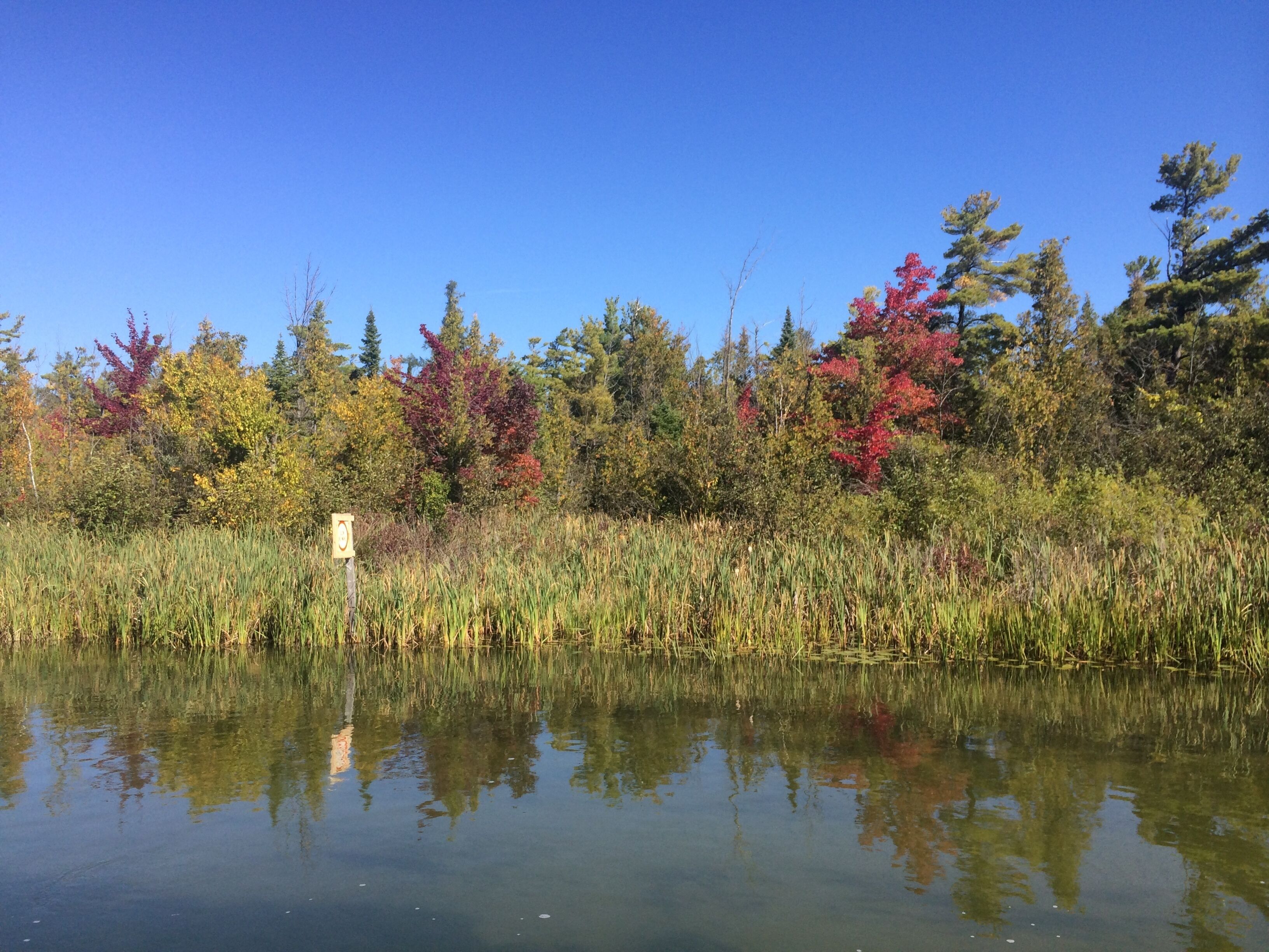 A calm lake with reflections of trees and a sign in the foreground.