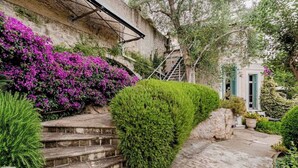Un escalier en pierre bordé d’un arbuste vert, un mur de pierre orné de fleurs violettes et un bâtiment aux volets verts.