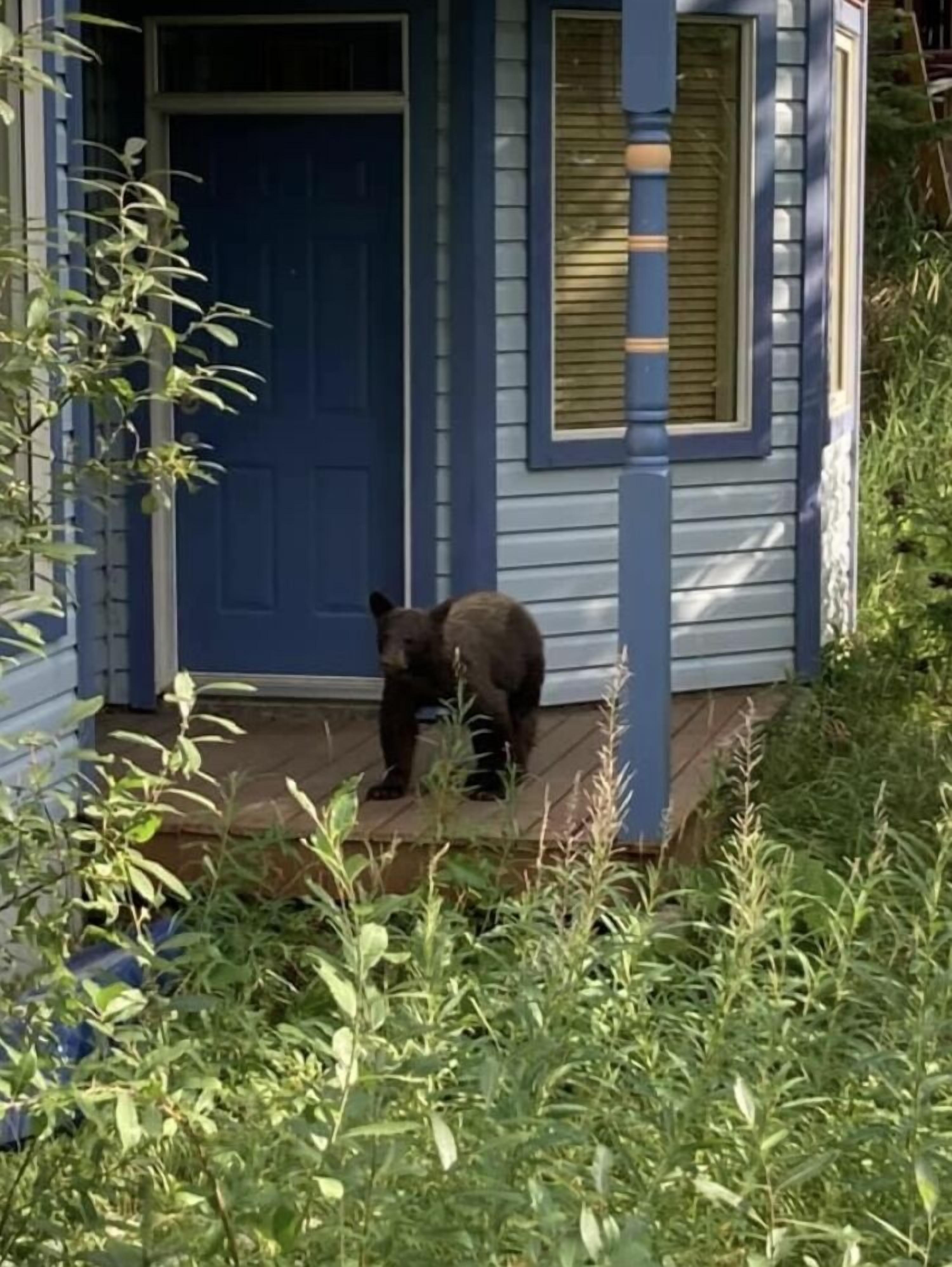 Our summer security service :)