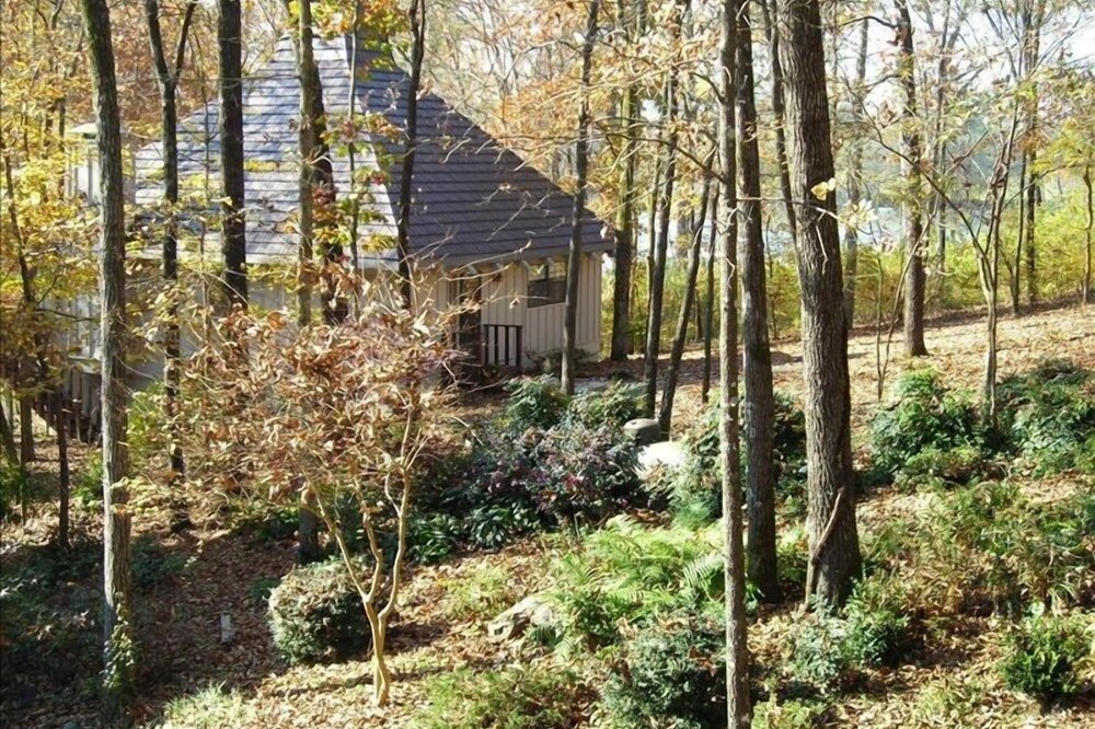 Serenity House on Lake Catherine with Private Boat/Swim Dock