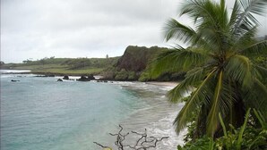 A coastal landscape with a palm tree, rocky shoreline, and ocean waves. - Premier Ocean View! King Luxury Bed, A/C, Clean, Cozy, Updated, Wifi, Beach Gear (Kihei)