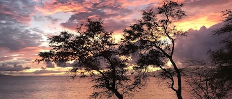 Beach nearby, sun loungers