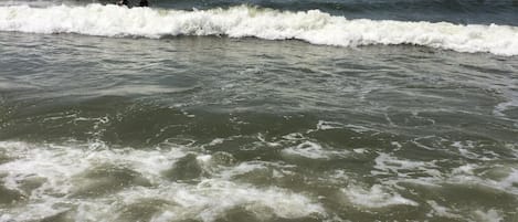 Playa en los alrededores, camastros y toallas de playa