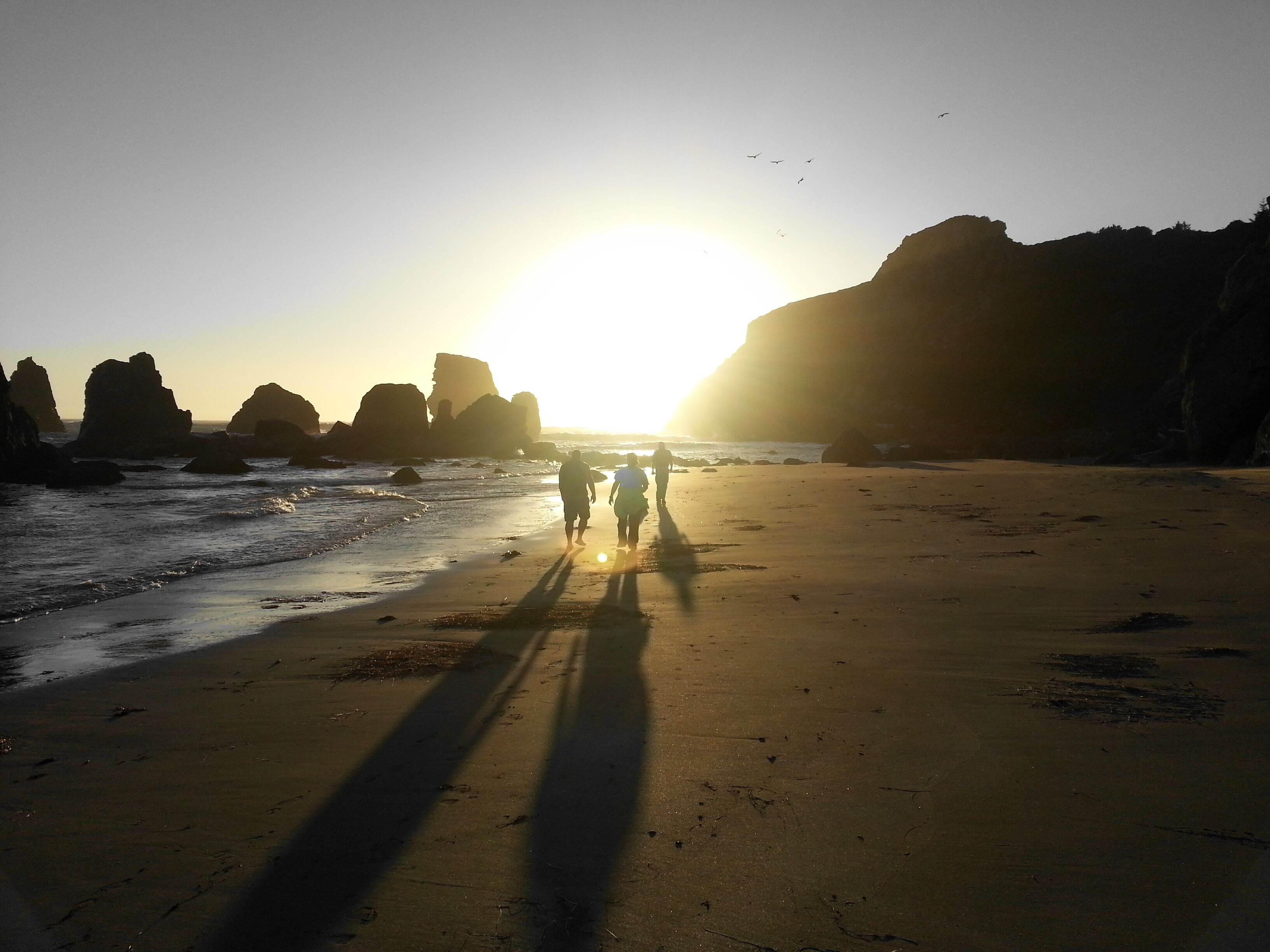Plage, chaises longues, serviettes de plage