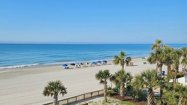 A beach with palm trees, umbrellas, and a wooden fence. - Oceanfront Condo • 2026 Renovations! • 2 BD, 2BA (Myrtle Beach)