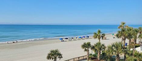 On the beach, sun-loungers