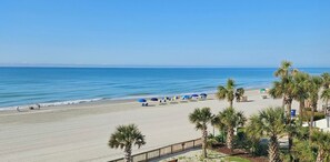 A beach with palm trees, umbrellas, and a wooden fence. - Oceanfront Condo • 2026 Renovations! • 2 BD, 2BA (Myrtle Beach)