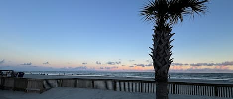 ビーチ、サンラウンジャー