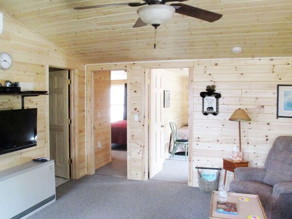 Smart TV, DVD player