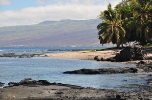 Sun loungers, beach towels - A wonderful place to be..... (Kamuela)