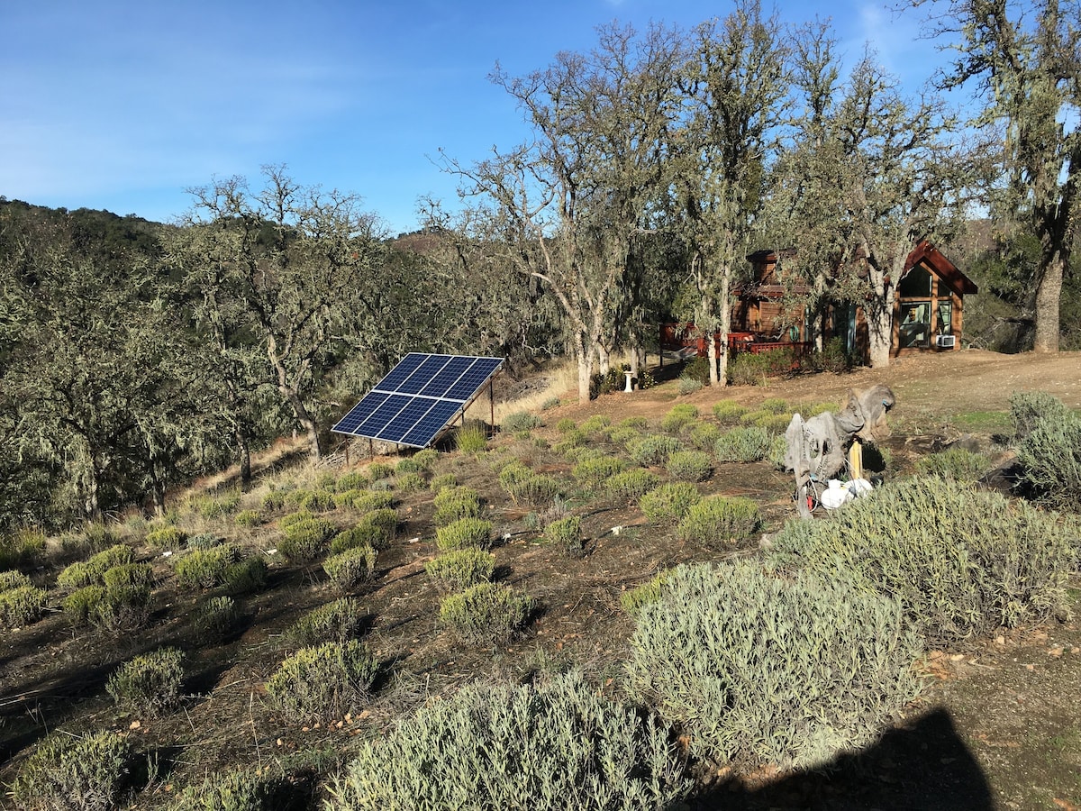 Photo 17 of Unplug, relax and rejeuvenate in our tiny house featuring off-the-grid living