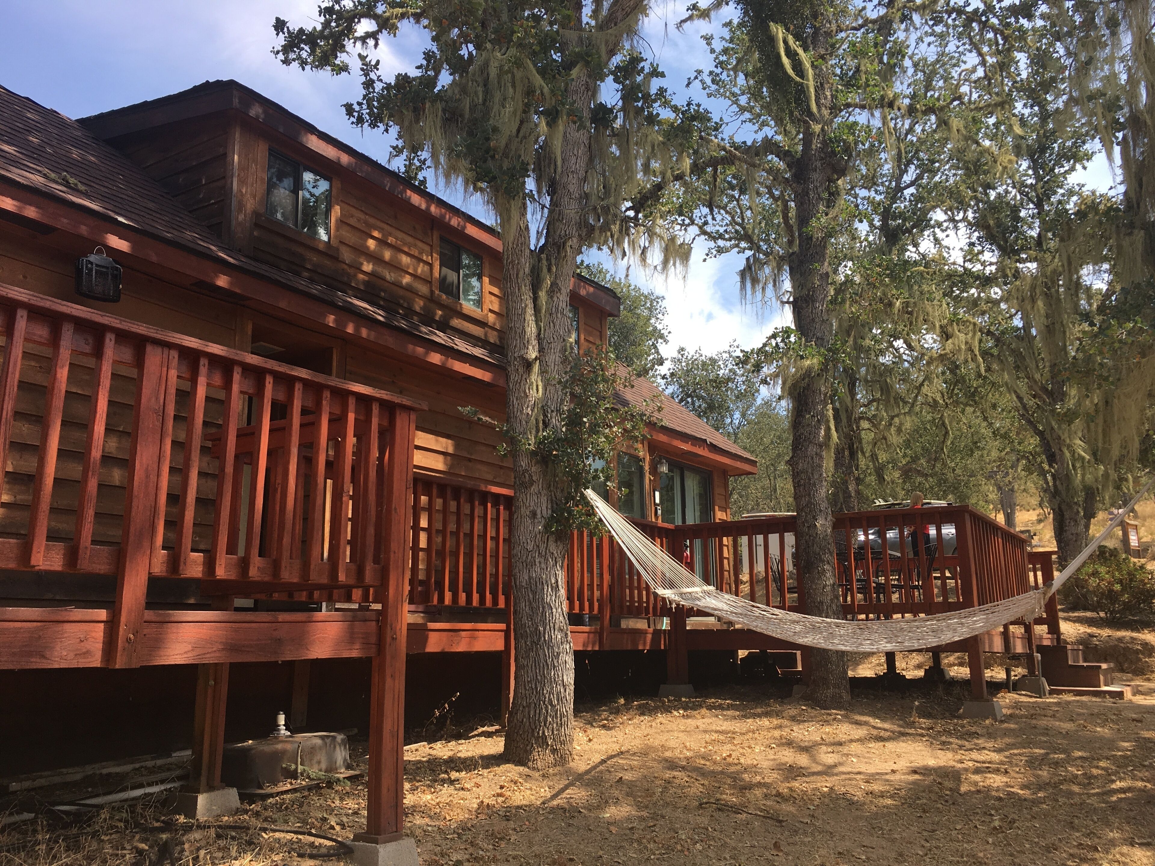 14 Best PetFriendly Cabins Near Big Sur, California Updated 2024