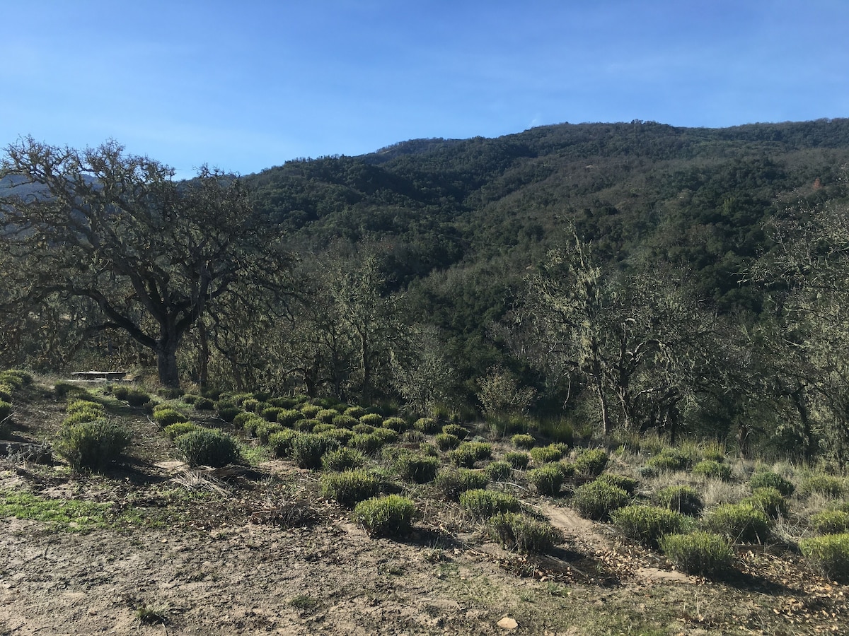 Photo 18 of Unplug, relax and rejeuvenate in our tiny house featuring off-the-grid living