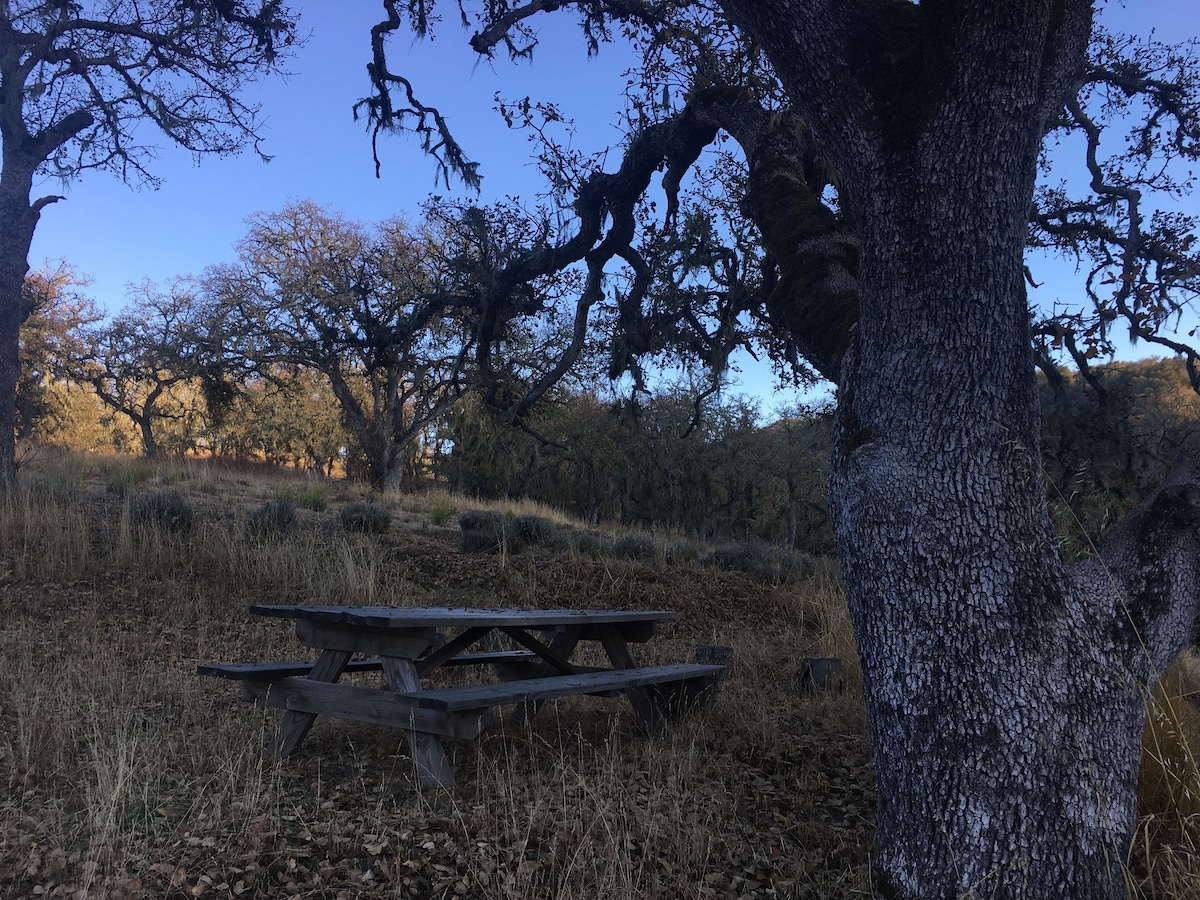 Photo 21 of Unplug, relax and rejeuvenate in our tiny house featuring off-the-grid living