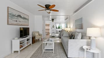 Televisión, reproductor de DVD y libros