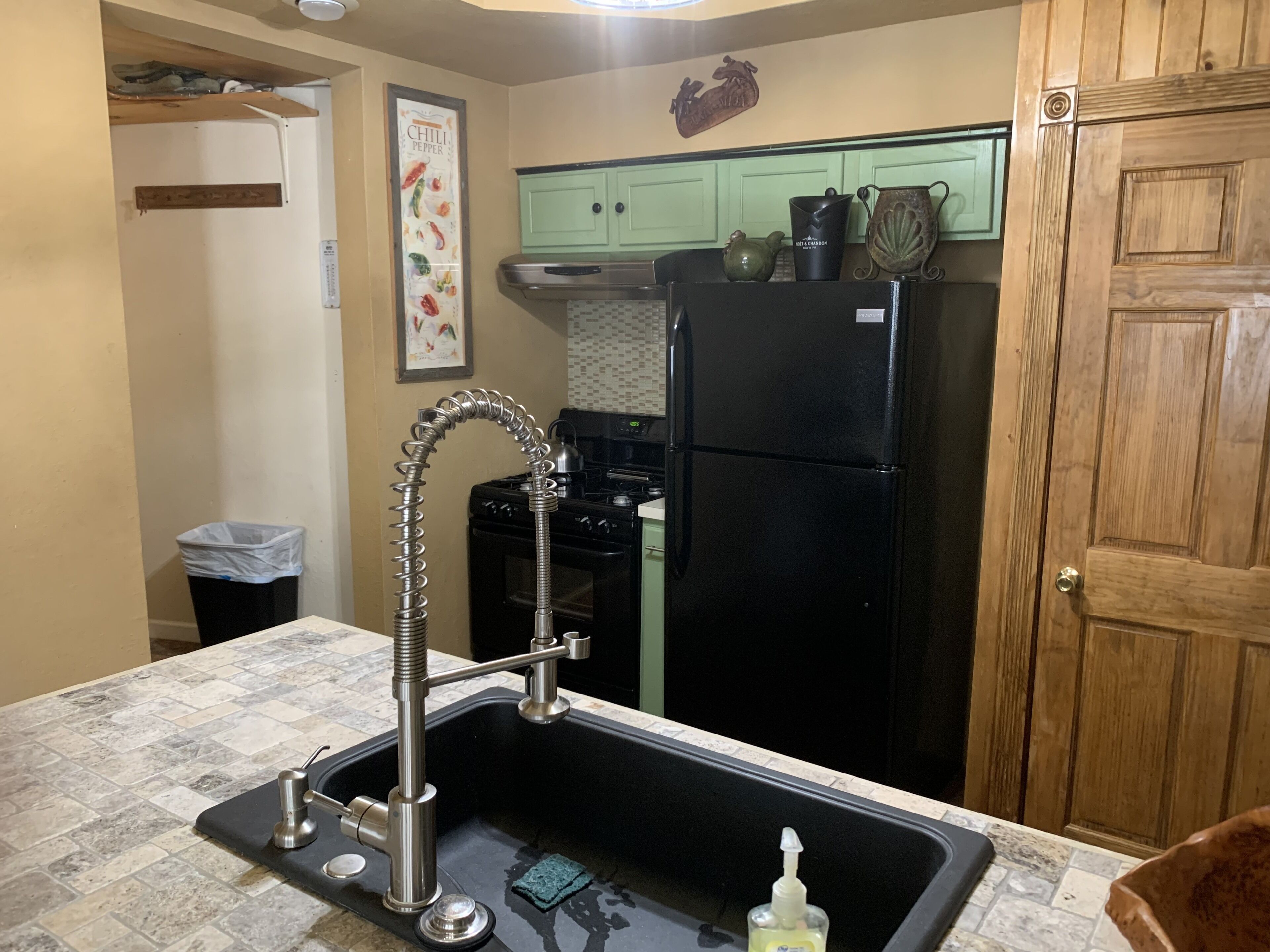 Fridge, oven, stovetop, dishwasher