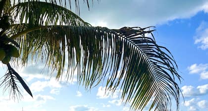 Beachfront House Private Dock & Beach Tahiti Beach House - Hope Town 5 STAR