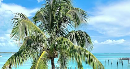 Beachfront House Private Dock & Beach Tahiti Beach House - Hope Town 5 STAR