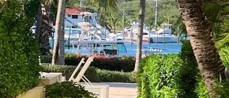 Un sentier menant à une marina où des bateaux sont amarrés.