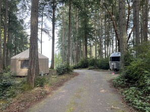 Property grounds - Yurt in Forest with Puget Sound View - Dry Camping (Vashon)