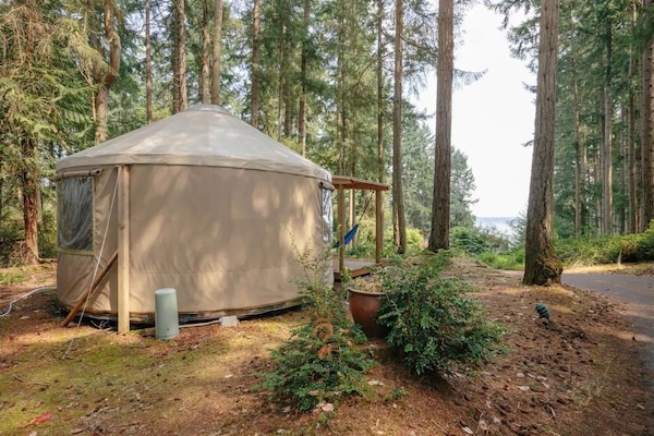 Nice profile shot of the Yurt