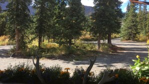 A view of a road surrounded by tall evergreen trees and a mountain in the background.