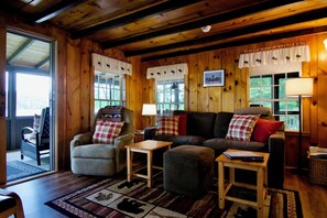 TV connectée, cheminée, lecteur de DVD, livres