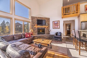TV, fireplace, video games, DVD player