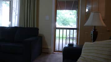 Smart TV, DVD player, books, video library
