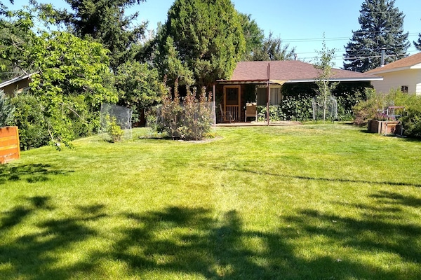 Cottage front yard in summer,,,not fenced.