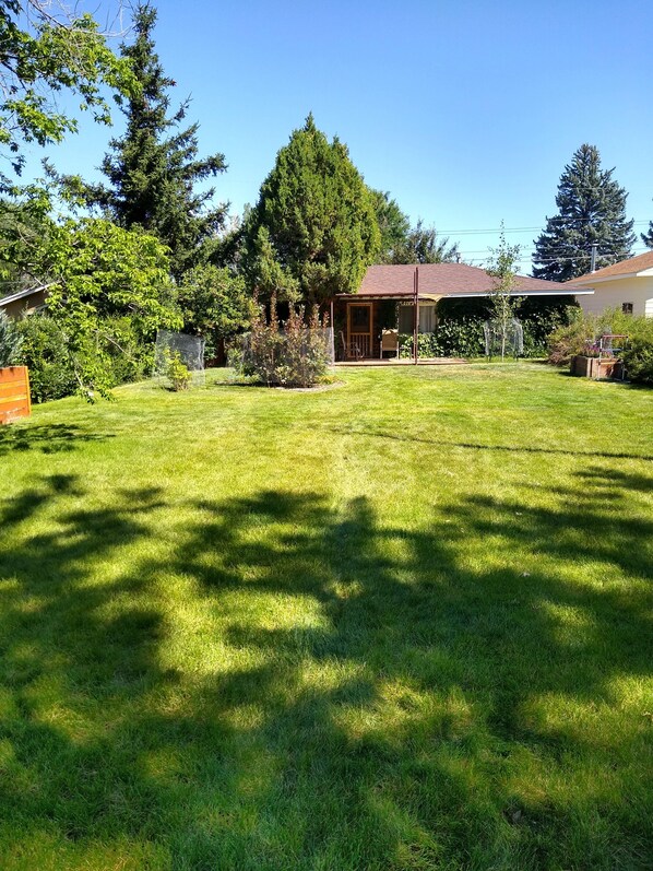 Área da propriedade