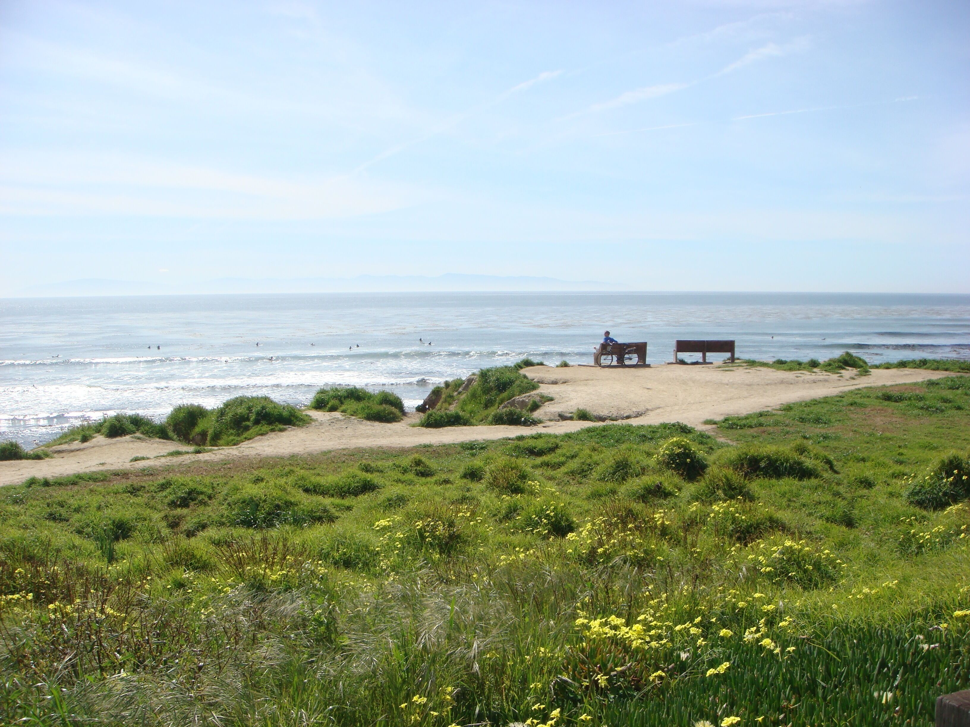 A beach with a sandy path, grassy areas, and a bench.