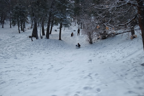 Free sledding at the Peach just a few houses up, in the national forest.
