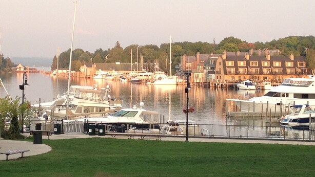 A marina with boats docked, a grassy area in the foreground, and buildings in the background.