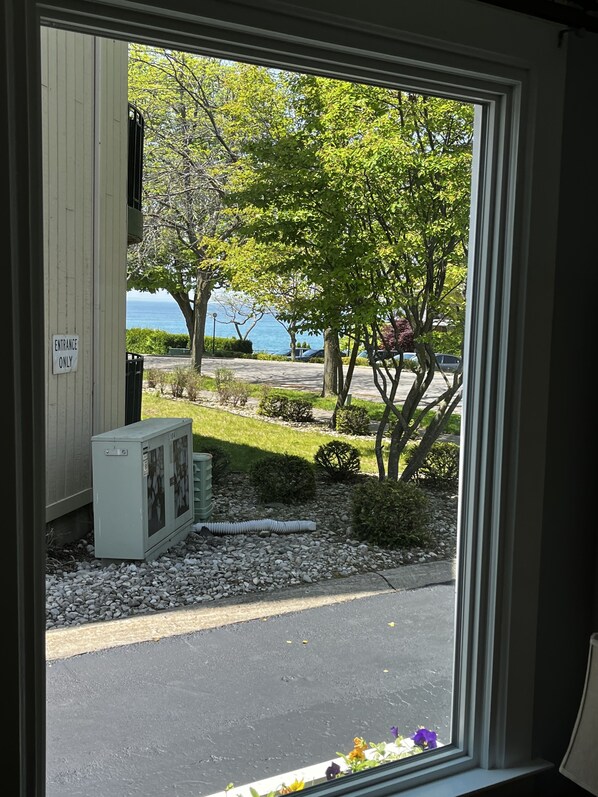 A view from inside a building, looking out to a parking area with trees and a body of water in the background.