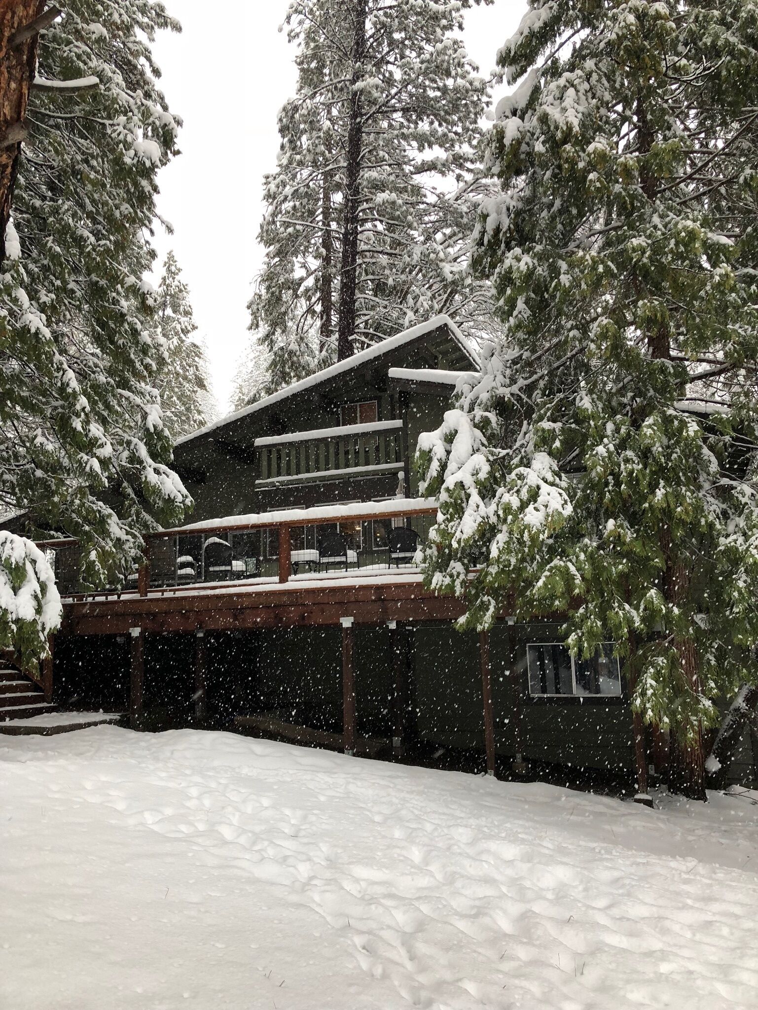 Fresh Snow 2019