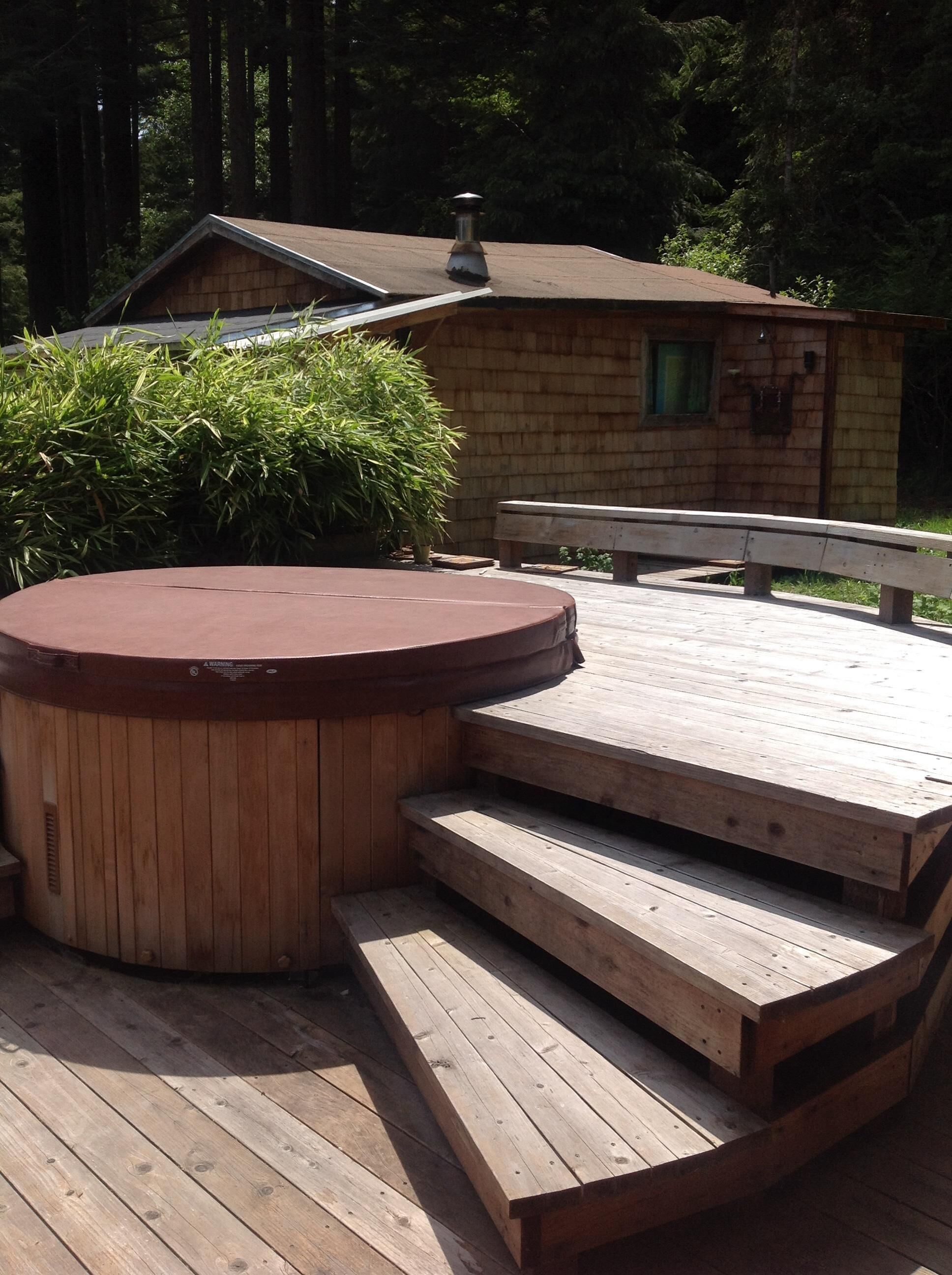 Sweet Little Cabin in the Trees....