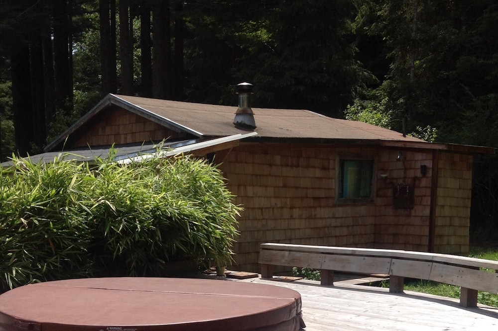 Sweet Little Cabin in the Trees....