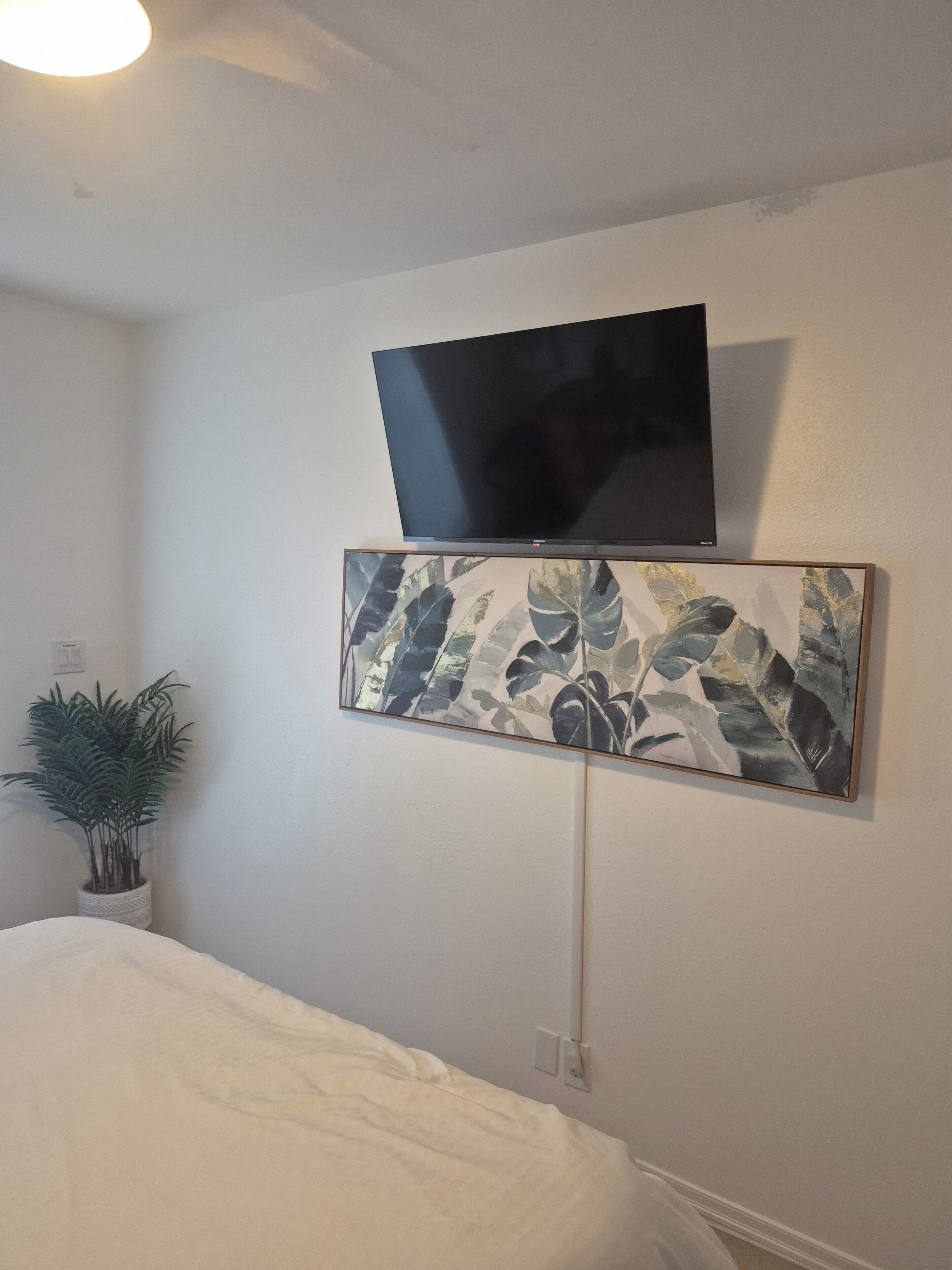 Un dormitorio con cama, televisor montado en la pared, una obra de arte en la pared y una planta en maceta.
