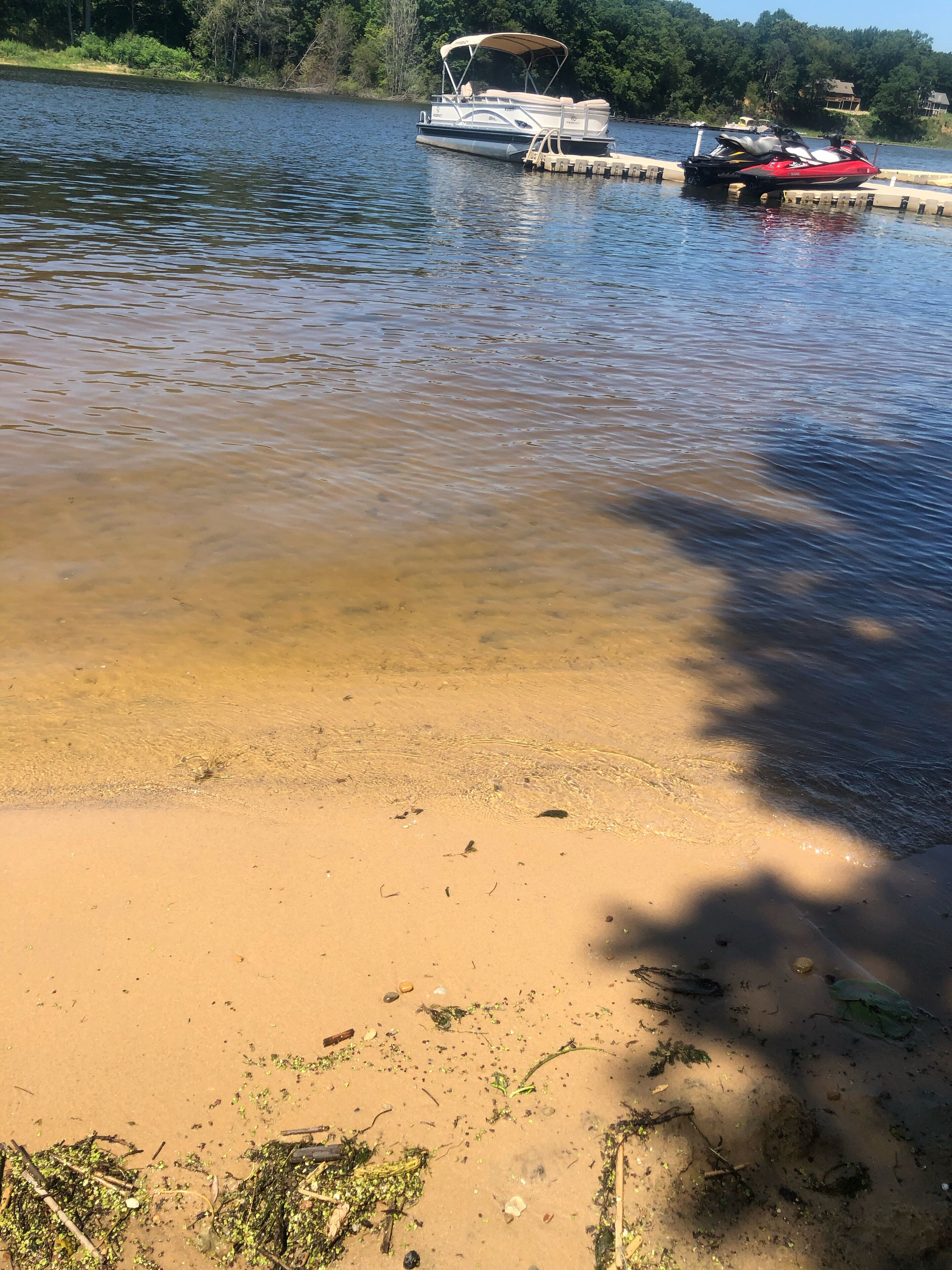 A calm lake with boats docked at the shore, surrounded by trees and a clear sky.
