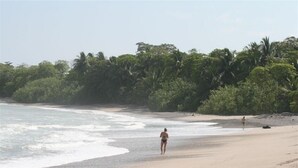 Una playa con arena, palmeras y olas del océano.