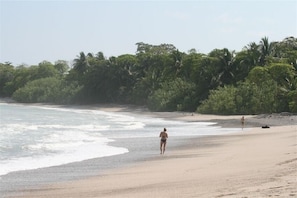 A beach with a sandy shore, palm trees, and ocean waves. - Pool, stunning ocean view, quiet, stairway to beach, ECO house (Montezuma)