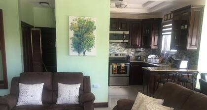 This Apartment is located in the Kingston 6 area .